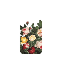 犀牛盾NX系列背板 - iPhone 16 Plus - 【獨家設計款】 - 百花爭艷