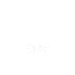 犀牛盾NX系列背板 - iPhone 16 Plus - 【獨家設計款】 - 幾何-動物系列/豹