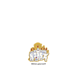 犀牛盾NX系列背板 - iPhone 16 Plus  - 【獨家設計款】 - 燃燒 綻放