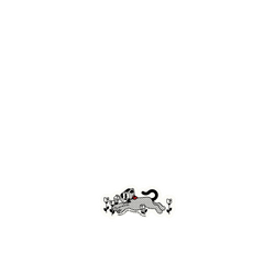 犀牛盾NX系列背板 - iPhone 16 Pro  - 【獨家設計款】 - 展望