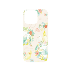 犀牛盾Mod NX手機殼 - iPhone 16 Pro - 【聯名設計款】 - 涼丰 LiangFeng - 春日小鳥兒