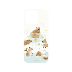 犀牛盾Mod NX手機殼 - iPhone 16 Pro - 【聯名設計款】 - 涼丰 LiangFeng - 水豚君