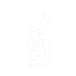 犀牛盾NX系列背板 - iPhone 16 Pro - 【聯名設計款】 - 迪士尼-經典系列 Disney Classics - 獅子王 Le Roi lion - Simba