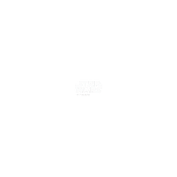 犀牛盾Mod NX手機殼 - iPhone 16 Pro Max - 【聯名設計款】 - 迪士尼-星際大戰 Star Wars - 星戰Logo黑武士款