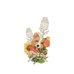 犀牛盾NX系列背板 - iPhone 17 - 【獨家設計款】 - 汪汪魔法師