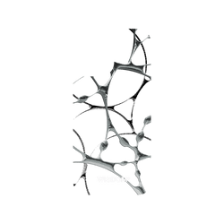 犀牛盾Mod NX (MagSafe 兼容)手機殼 - iPhone 17 - WISDOM - SILK