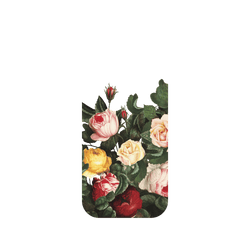 犀牛盾NX系列背板 - iPhone Air - 【獨家設計款】 - 百花爭艷