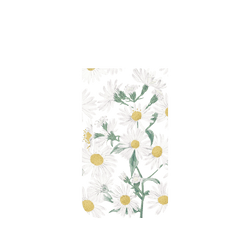 犀牛盾NX系列背板 - iPhone Air - 【獨家設計款】 - 鳳梨可樂達