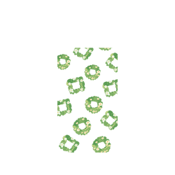 犀牛盾NX系列背板 - iPhone Air - 【獨家設計款】 - 綠春花環