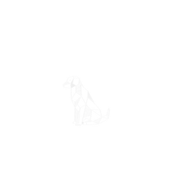 犀牛盾NX系列背板 - iPhone Air - 【獨家設計款】 - 幾何-動物系列/忠犬
