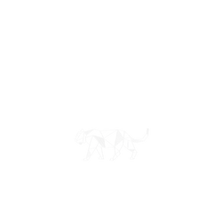 犀牛盾NX系列背板 - iPhone Air - 【獨家設計款】 - 幾何-動物系列/豹