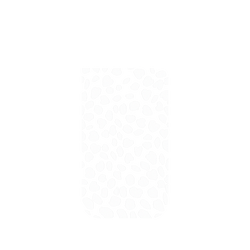 犀牛盾NX系列背板 - iPhone Air - 【獨家設計款】 - 雪白花瓣