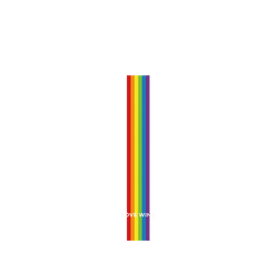 犀牛盾NX系列背板 - iPhone Air - 【獨家設計款】 - Love wins-All the same