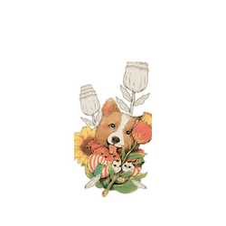 犀牛盾NX系列背板 - iPhone Air - 【獨家設計款】 - 汪汪魔法師