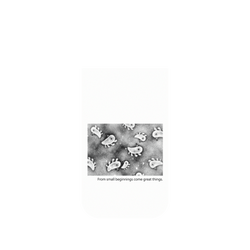 犀牛盾Mod NX手機殼 - iPhone Air - 【聯名設計款】 - 怪奇事物所 Incrediville - 所長細胞群_白