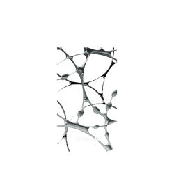 犀牛盾NX系列背板 - iPhone Air - 【聯名設計款】 - WISDOM - SILK