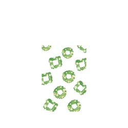 犀牛盾NX系列背板 - iPhone 17 Pro - 【獨家設計款】 - 綠春花環