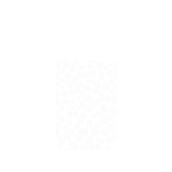 犀牛盾NX系列背板 - iPhone 17 Pro - 【獨家設計款】 - 雪白花瓣