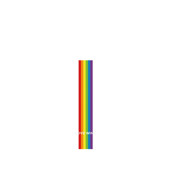 犀牛盾NX系列背板 - iPhone 17 Pro - 【獨家設計款】 - Love wins-All the same
