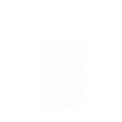犀牛盾NX系列背板 - iPhone 17 Pro Max - 【獨家設計款】 - 雪白花瓣