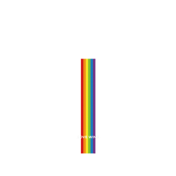 犀牛盾NX系列背板 - iPhone 17 Pro Max - 【獨家設計款】 - Love wins-All the same