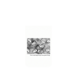 犀牛盾Mod NX (MagSafe 兼容)手機殼 - iPhone 17 Pro Max - 怪奇事物所 Incrediville - 所長細胞群_白