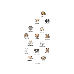 iPhone 16e SolidSuit  小貓貓們 Little Cattos Every doggo
