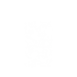 犀牛盾SolidSuit手機殼 - Google Pixel 6 - 【聯名設計款】 - 迪士尼-經典系列 Disney Classics - 獅子王 Le Roi lion - Simba