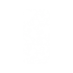犀牛盾SolidSuit手機殼 - iPhone XR - 【聯名設計款】 - 迪士尼-經典系列 Disney Classics - 獅子王 Le Roi lion - Simba