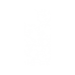 犀牛盾SolidSuit手機殼 - iPhone 11 Pro - 【聯名設計款】 - 迪士尼-經典系列 Disney Classics - 獅子王 Le Roi lion - Simba
