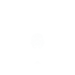 犀牛盾SolidSuit手機殼 - iPhone 11 - 【聯名設計款】 - 迪士尼-星際大戰 Star Wars - 圖文符合-風暴兵