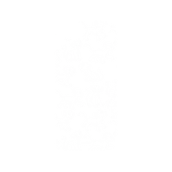 犀牛盾SolidSuit手機殼 - iPhone 7/8/SE2/SE3 - 【聯名設計款】 - 迪士尼-經典系列 Disney Classics - 獅子王 Le Roi lion - Simba