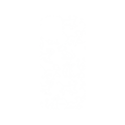 犀牛盾SolidSuit手機殼 - iPhone 12/12 Pro - 【聯名設計款】 - 迪士尼-經典系列 Disney Classics - 獅子王 Le Roi lion - Simba