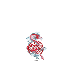 iPhone 13 mini 犀牛盾SolidSuit (MagSafe 兼容)聯名設計款防摔背蓋手機殼 迪士尼-漫威 Marvel - 尚氣-龍標誌