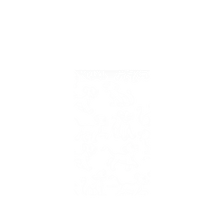 犀牛盾SolidSuit手機殼 - Google Pixel 7 - 【聯名設計款】 - 迪士尼-經典系列 Disney Classics - 獅子王 Le Roi lion - Simba
