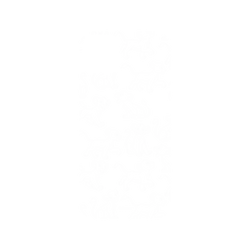 iPhone 14 Plus 犀牛盾SolidSuit (MagSafe 兼容)聯名設計款防摔背蓋手機殼 迪士尼-經典系列 Disney Classics - 獅子王 Le Roi lion - Simba