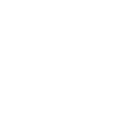 犀牛盾SolidSuit手機殼 - iPhone 14 Pro - 【聯名設計款】 - 迪士尼-經典系列 Disney Classics - 獅子王 Le Roi lion - Simba