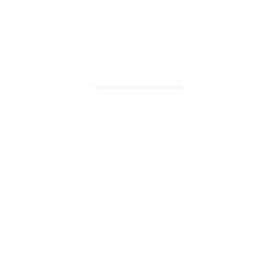 Pixel 8 Pro SolidSuit (MagSafe 兼容)  Harry Potter 多比是自由的小精靈