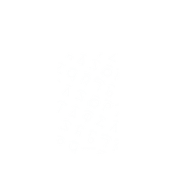 Pixel 8a SolidSuit (MagSafe 兼容)  Harry Potter 咒語系列：Pattern