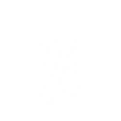 Pixel 9 Pro XL SolidSuit (MagSafe 兼容)  Harry Potter 咒語系列：Pattern