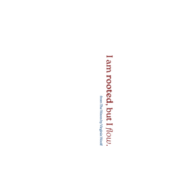 iPhone 16e 犀牛盾SolidSuit (MagSafe 兼容)聯名設計款防摔背蓋手機殼 No Reason - I'm rooted, but I'm flow.