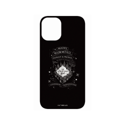 iPhone 16 Plus SolidX  Harry Potter 劫盜地圖