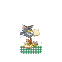 iPhone 16 Pro Max SolidX  Tom and Jerry I Found You!