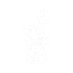 犀牛盾SolidX手機殼 - iPhone 17 - 【聯名設計款】 - 迪士尼-經典系列 Disney Classics - 獅子王 Le Roi lion - Simba