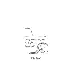 犀牛盾SolidX手機殼 - iPhone 17 - 【聯名設計款】 - 小王子 - 這不是一頂帽子