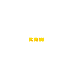 iPhone 17 犀牛盾SolidX (MagSafe 兼容)聯名設計款防摔背蓋手機殼 JOCR - Raw Yellow