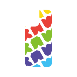 iPhone 17 犀牛盾SolidX (MagSafe 兼容)聯名設計款防摔背蓋手機殼 JOCR - Raw Rainbow Pattern Big
