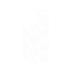 iPhone 17 犀牛盾SolidX (MagSafe 兼容)聯名設計款防摔背蓋手機殼 JOCR - Raw White Pattern Big