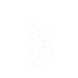 犀牛盾SolidX手機殼 - iPhone Air - 【聯名設計款】 - 迪士尼-經典系列 Disney Classics - 獅子王 Le Roi lion - Simba