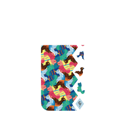 iPhone 17 Pro 犀牛盾SolidX (MagSafe 兼容)聯名設計款防摔背蓋手機殼 MITSUME - Colorful animals